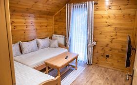 Apartmani Bor